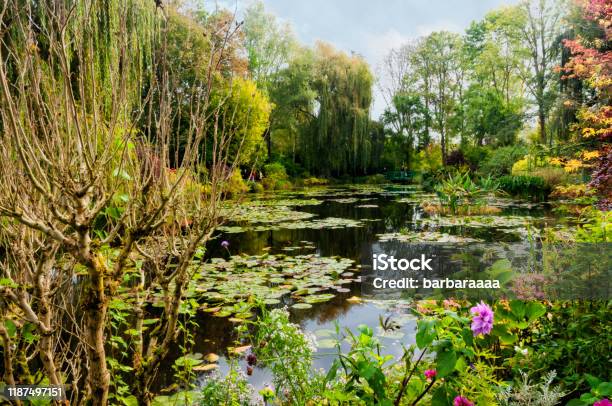 Japanese Garden With Lily Pond Stock Photo - Download Image Now - Giverny, Bridge - Built Structure, Landscape - Scenery