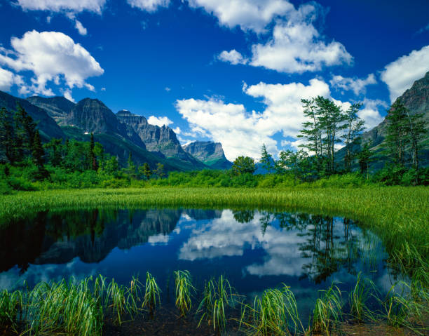 st. marys lake glacier np usa - montana summer usa color image foto e immagini stock