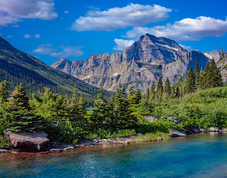 Springtime in Swiftcurrent Valley Glacier NP. USA