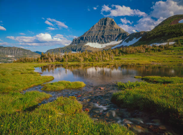 Springtime at Logan Pass with rugged mountain peak