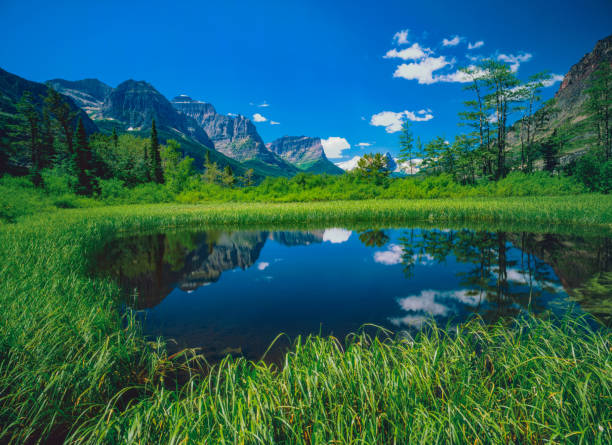 istock ST. MARY LAKE GLACIER NP USA 1187500207