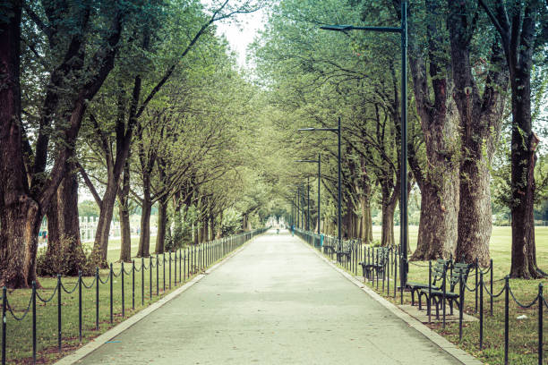 istock A tree lined walking trail on the National Mall 1187506128