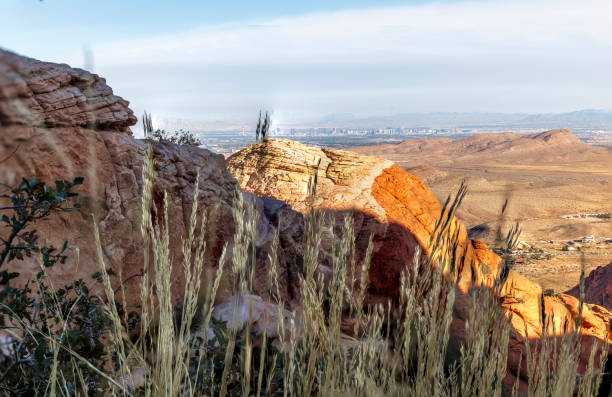 Las Vegas skyline looking from Red Rock Canyon