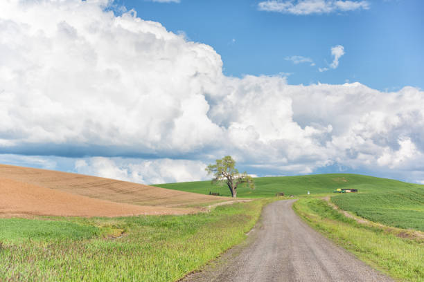 istock Country Road at Palouse Farm 1187514773