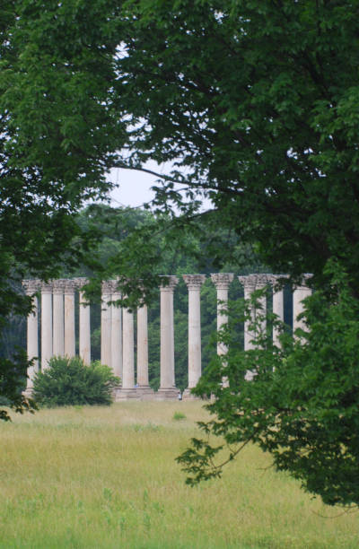 istock Old U.S. Capitol Columns from a distance 1187521167