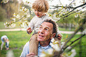 Senior Großvater mit Kleinkind Enkel stehen in der Natur im Frühjahr.