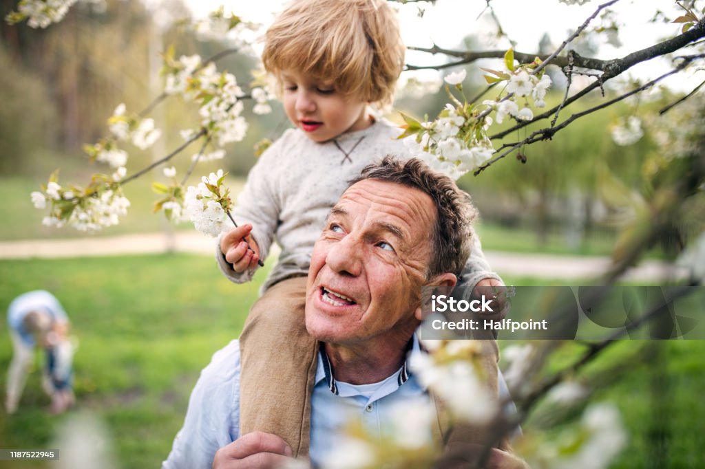 Senior Großvater mit Kleinkind Enkel stehen in der Natur im Frühjahr. - Lizenzfrei Familie Stock-Foto