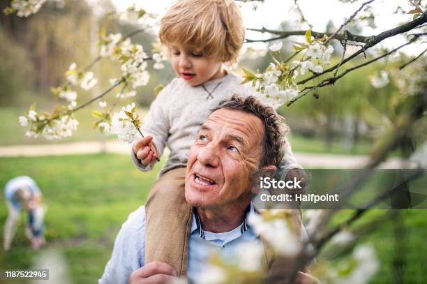 Senior Großvater Mit Kleinkind Enkel Stehen In Der Natur Im Frühjahr Stockfoto und mehr Bilder von Familie