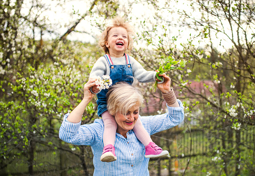 Senior grandmother with toddler granddaughter standing in nature in spring, giving piggyback ride.