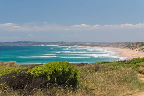 istock A beautiful beach at Phillip Island on a sunny day 1187523231