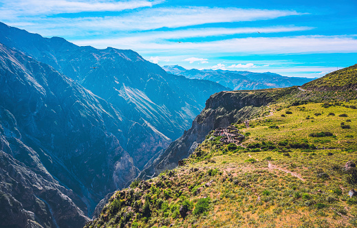 In Peru, South America, at the deep Colca Canyon, people come to look for the Andean Condor.