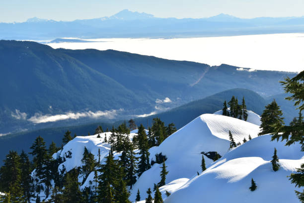 raquettes dans le parc provincial du mont seymour, canada - mt seymour provincial park photos et images de collection