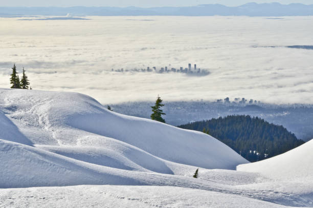 raquetas de nieve en el parque provincial del monte seymour, canadá - mt seymour provincial park fotografías e imágenes de stock