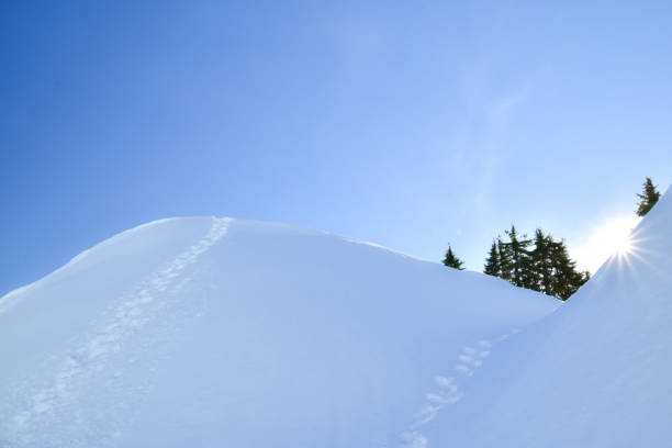 raquetas de nieve en el parque provincial del monte seymour, canadá - mt seymour provincial park fotografías e imágenes de stock