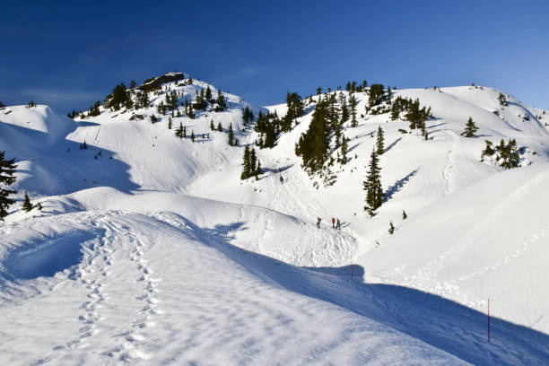 snowshoeing in mt. seymour provincial park, canada - mt seymour provincial park imagens e fotografias de stock