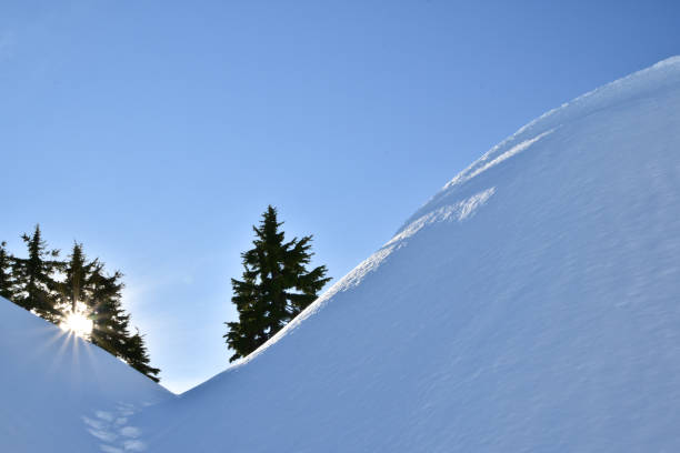 raquetas de nieve en el parque provincial del monte seymour, canadá - mt seymour provincial park fotografías e imágenes de stock