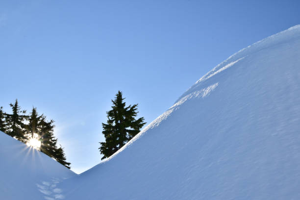 raquettes dans le parc provincial du mont seymour, canada - mt seymour provincial park photos et images de collection