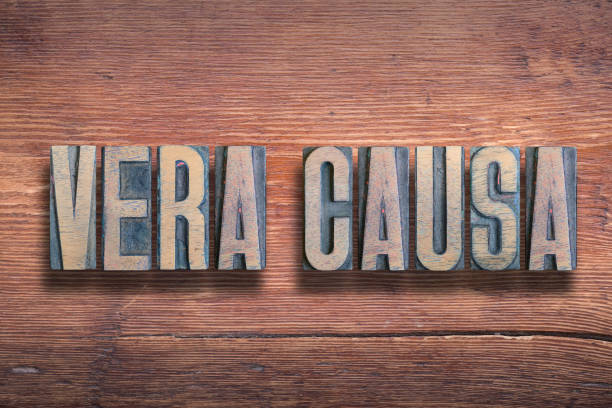 istock vera causa wood 1187554717