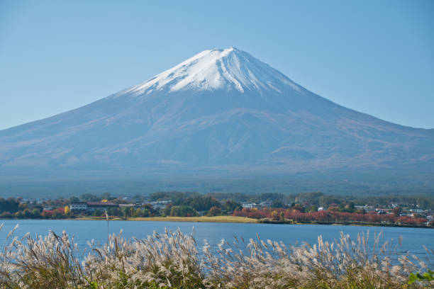 istock Beautiful Mount Fuji in Tokyo, Japan 1187555686