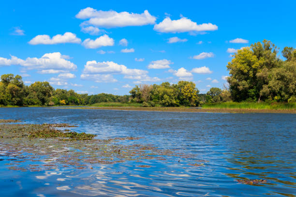istock Summer landscape with beautiful river, green trees and blue sky 1187555869