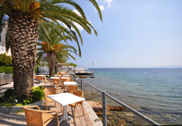 istock Palm trees by the sea 1187557455