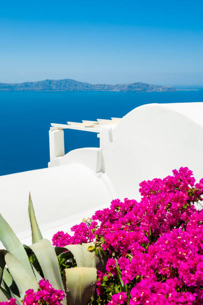 istock White architecture on Santorini island, Greece. 1187558257