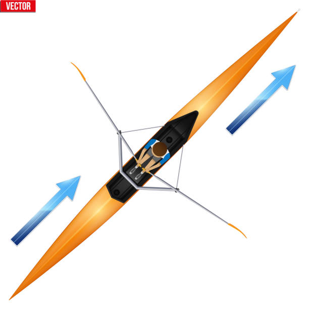 Rowing Racing Shell Drawing 60+ Sculling Team Stock Illustrations, Royalty-Free Vector Graphics ...