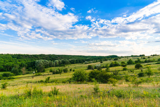istock Summer landscape picturestique 1187561981
