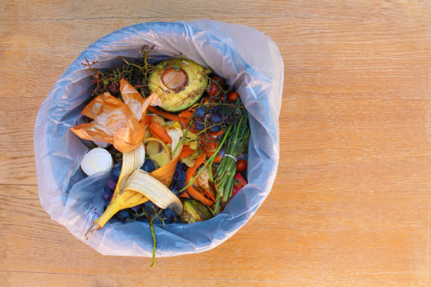 istock Domestic waste for compost from fruits and vegetables in garbage bin. 1187563715