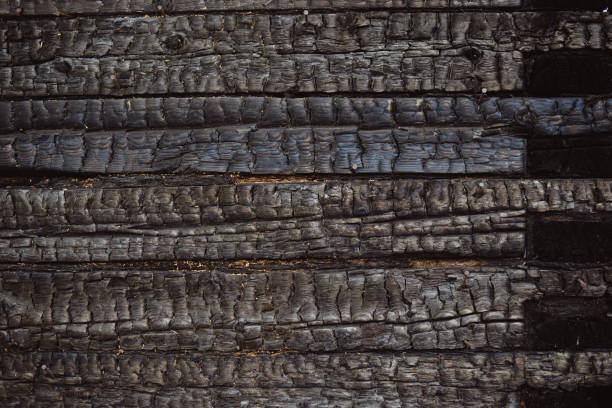 istock wood charred wall after fire 1187565606