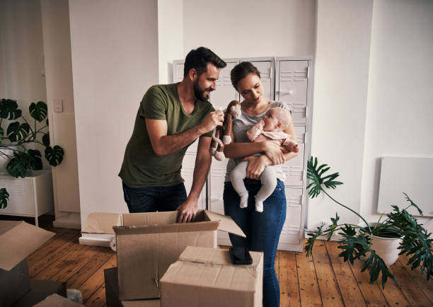 I found a toy you might like