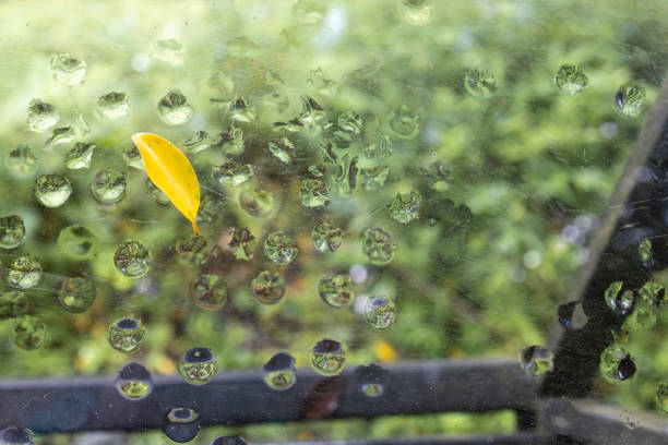 A leaf fell on a glass with rain drops.
