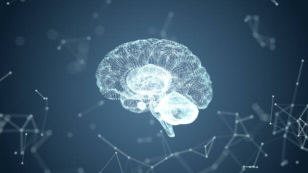 istock Abstract medical blue glow brain wireframe network and connecting dot in space background. Futuristics science and medical technology concept. Abstract human body part system concept. 3D illustration 1187568200