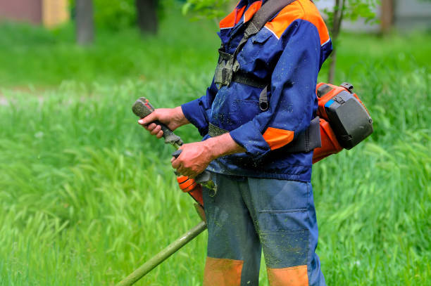 istock The worker of a garden cuts off a grass 1187570448