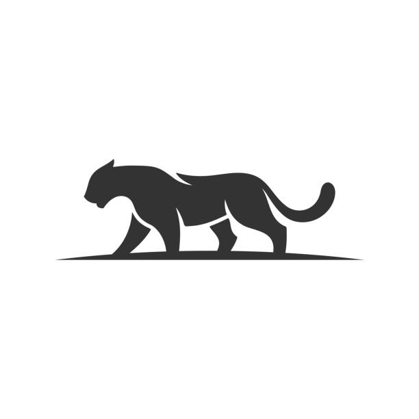 illustrazioni stock, clip art, cartoni animati e icone di tendenza di modello vettoriale illustrazione silhouette astratta tiger walking concept - undomesticated cat immagine
