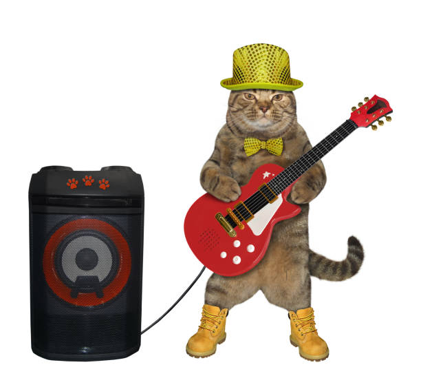 istock Cat in red hat plays electric guitar 1187577325