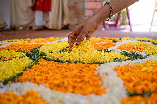 close up of hand preparing pookalam, a traditional flowers decoration to celebrate onam festival in kerala
