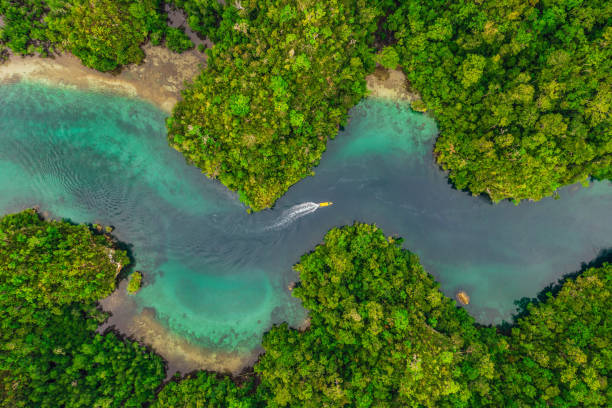 istock Indonesia is a beautiful place 1187580688