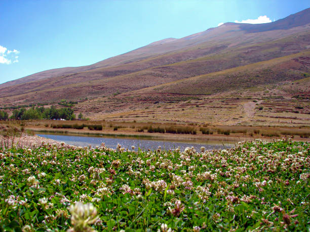 istock Beautiful Nature in north Lebanon 1187581052