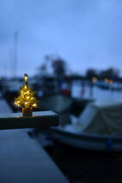 istock A little illuminated christmas tree in a dusky marina 1187581199