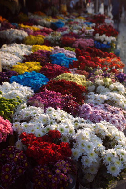 istock Flower seller 1187583701