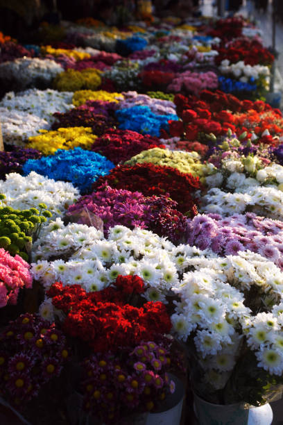 istock Flower seller 1187583723