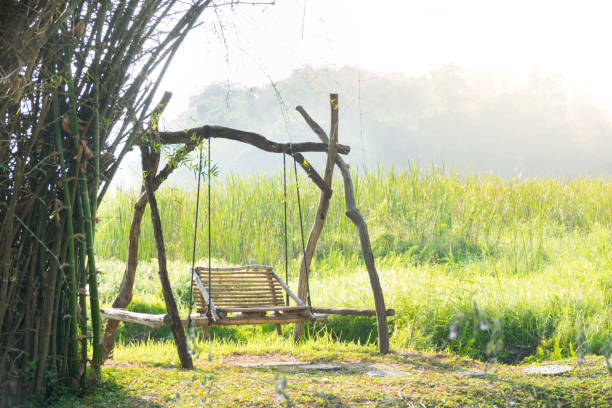 Empty swing on hillside with morning sunrise.