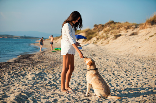 Teenage girl have a fun on the sandy beach with her cute dog