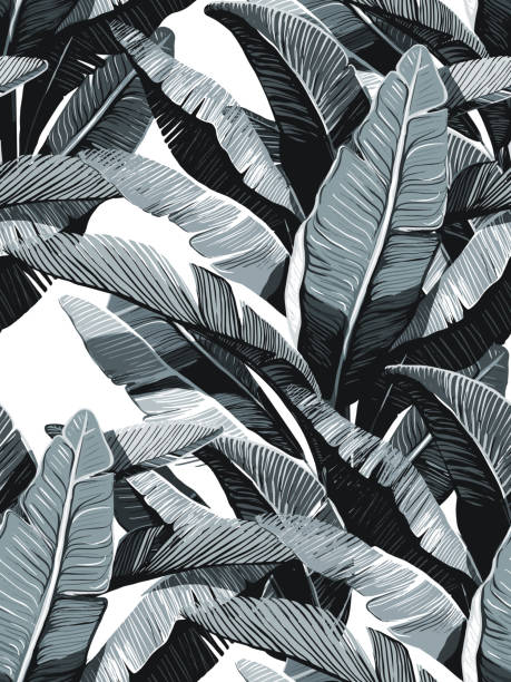 Banana Leaves. Seamless tropical pattern. Black and white design. Monochrome repearing pattern. Perfect contrast minimalistic pattern. banana drawings stock illustrations