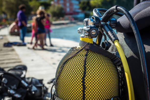 taucher, die sich auf das tauchen am strand vorbereiten. - oxygen tank underwater diving diving wetsuit stock-fotos und bilder