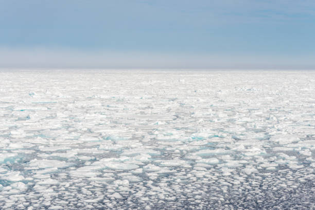 istock Arctic landscape - sea surface with ice floe 1187601866