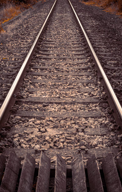 istock Rail tracks disappear to distance 1187605062