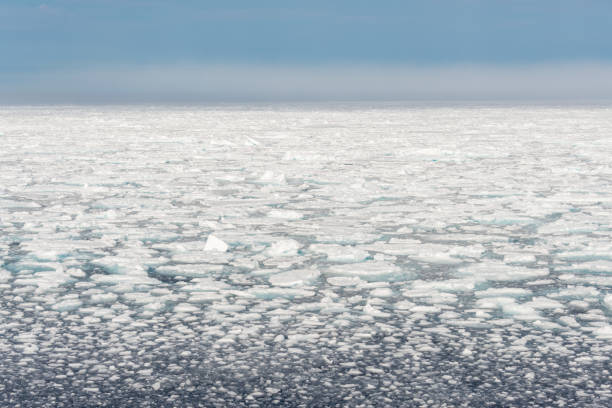 istock Arctic landscape - sea surface with ice floe 1187606112
