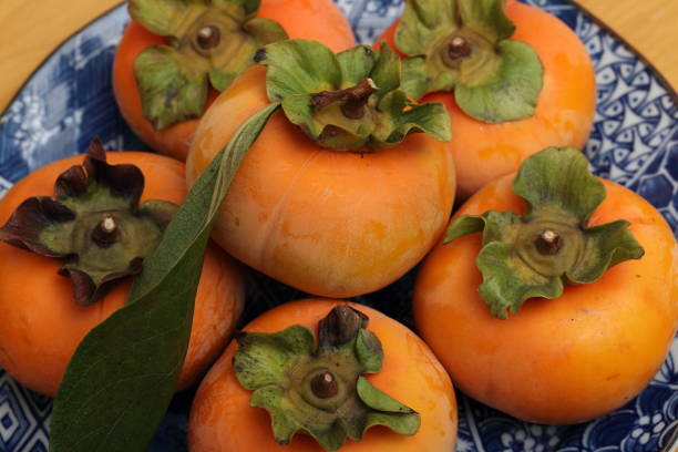 istock persimmon fruit in Okayama,Japan 1187607367